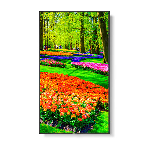 NEC M431 MPI4E 43 Ultra High Definition Professional Display with integrated SoC MediaPlayer with CMS platform portrait
