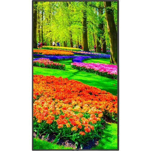 NEC M651-PT 65 4K Commercial PCAP Touchscreen 2