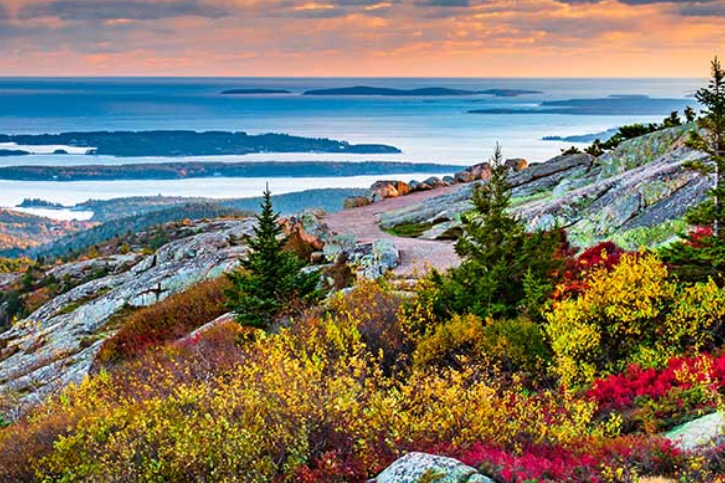 Panasonic TH-49CQE1W CQE1W Series 49 inch Class 4K UHD IPS LED Professional Display