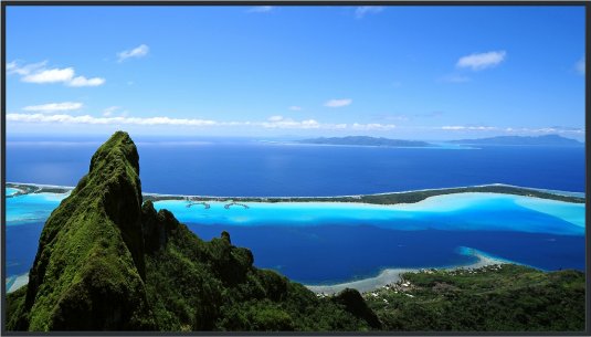 Panasonic TH-55SQ1W 55-inch Class 4K UHD LCD Display