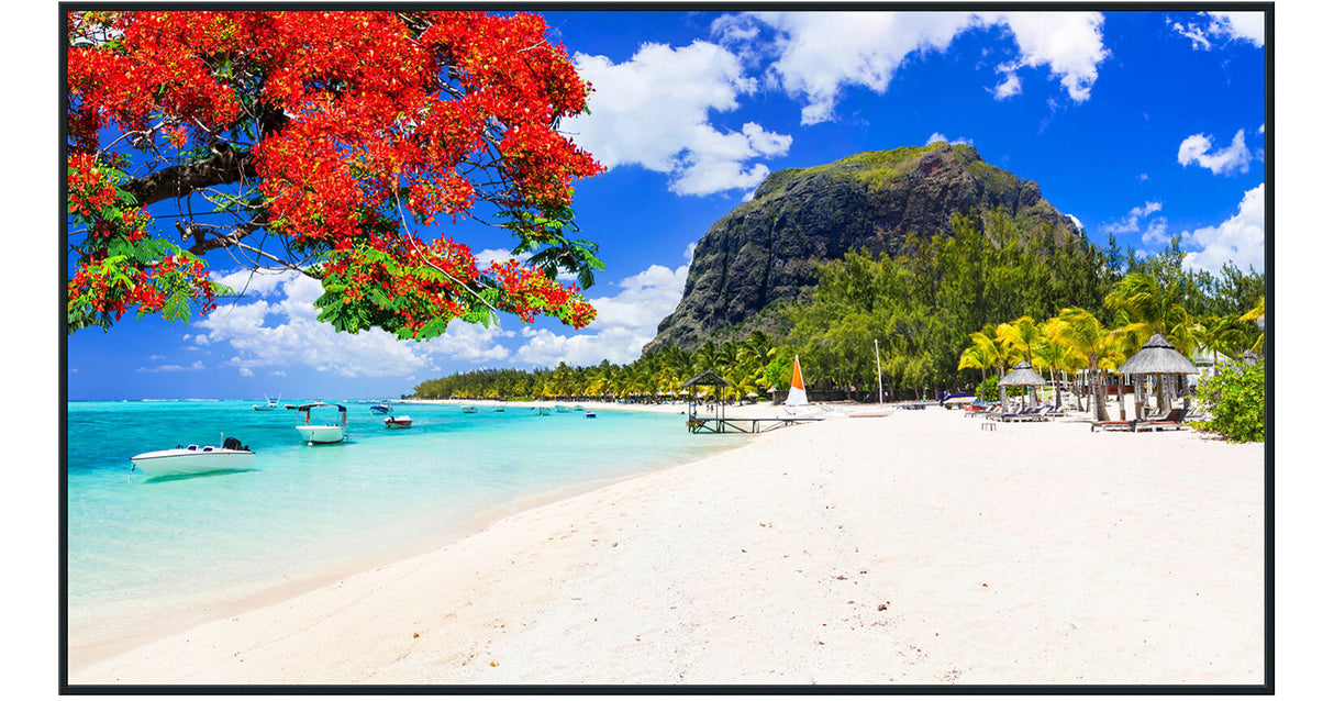 Panasonic TH-75SQ2HW Series 75" UHD 4K Commercial Monitor