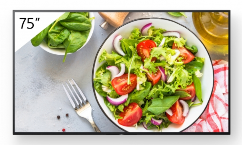 Sony FW-75BZ35L 75 BRAVIA 4K HDR Professional Display