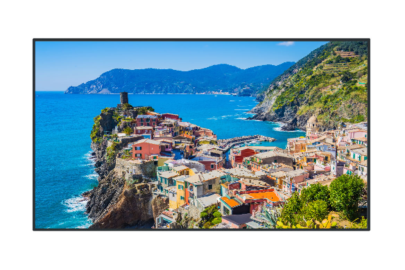 TH-55EQ2W 55 Class 4K Digital Display