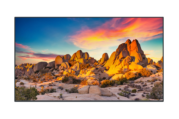 TH-86SQE1WA 86 Class 4K UHD Standard Digital Display