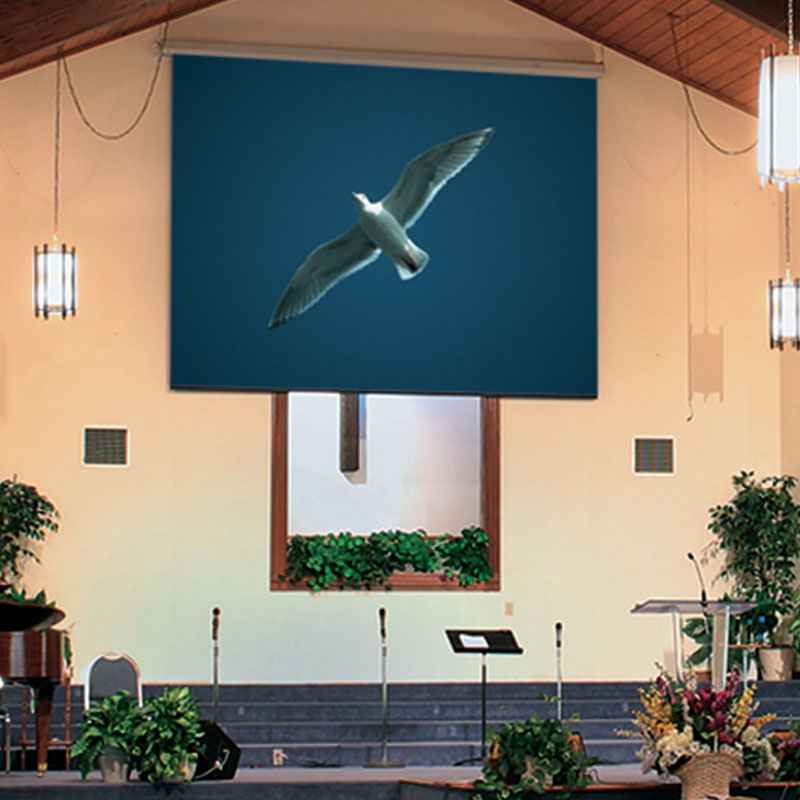 Targa Electric Projection Screen 135