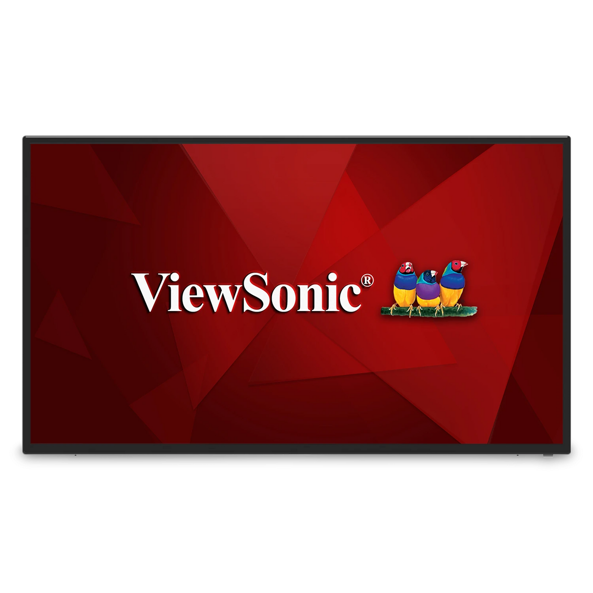 ViewSonic CDE4312 43 4K Wireless Presentation Display (Wall Mount Bundle)