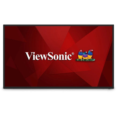 ViewSonic CDE4312 43 4K Wireless Presentation Display