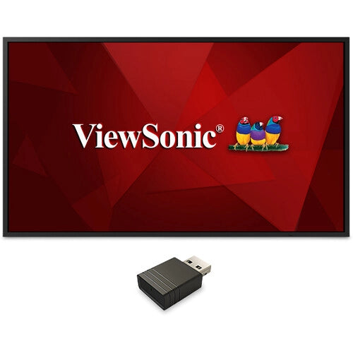 ViewSonic CDE5520 55 4K UHD Presentation Display Bundle with VSB050 USB Wi-Fi Adapter