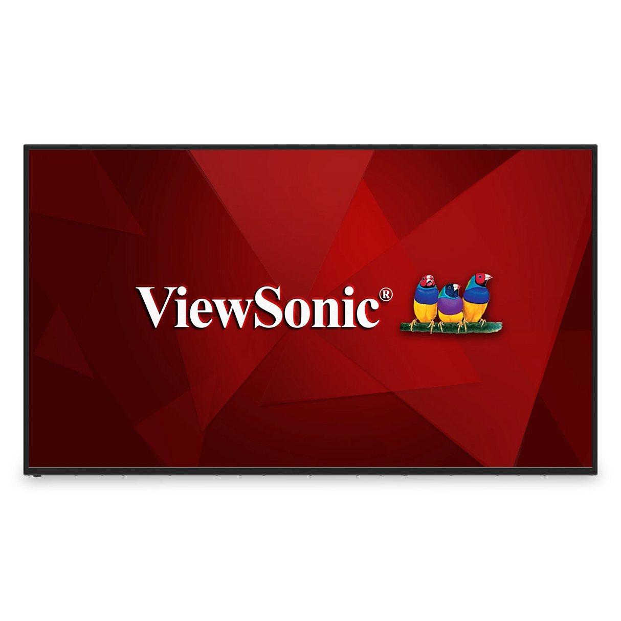 ViewSonic CDE6512 65 4K Wireless Display (Wall Mount Bundle)