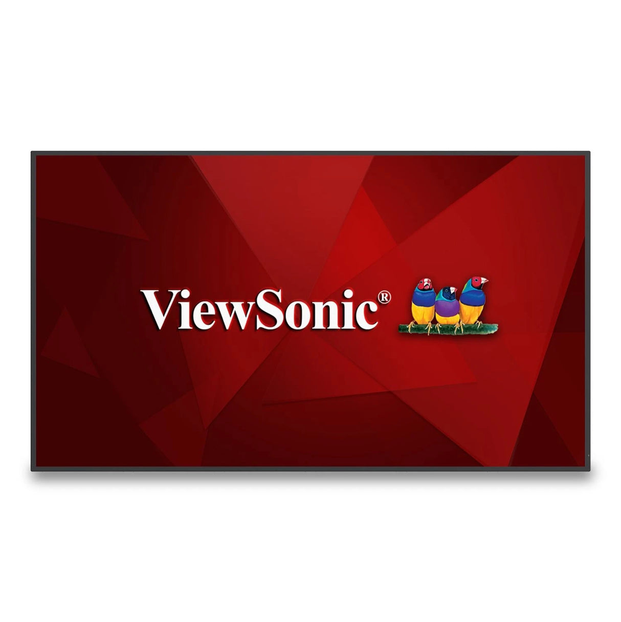 ViewSonic CDE6530-E1 65 4K Display (Wireless Module & Wall Mount Bundle)