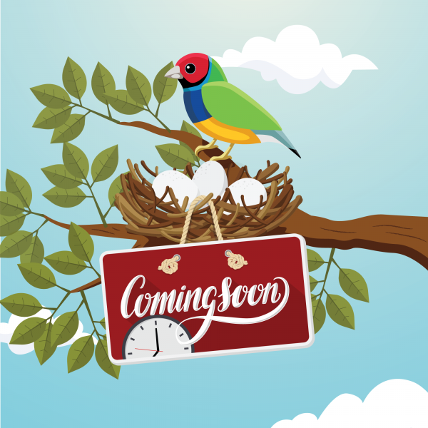 ViewSonic LD-SI-WM-135 Direct View Led Wallmount Service Installation For 135