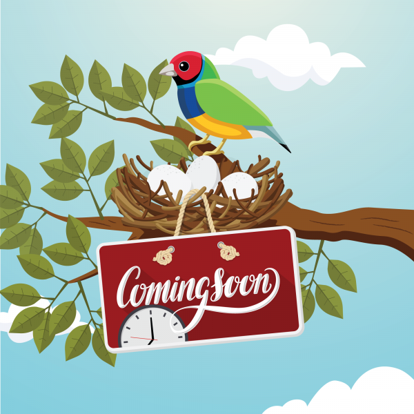 ViewSonic STND-059 Health Flex Hand Sanitizing Station