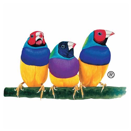 ViewSonic CD-EW-65-04 Warranty-Support