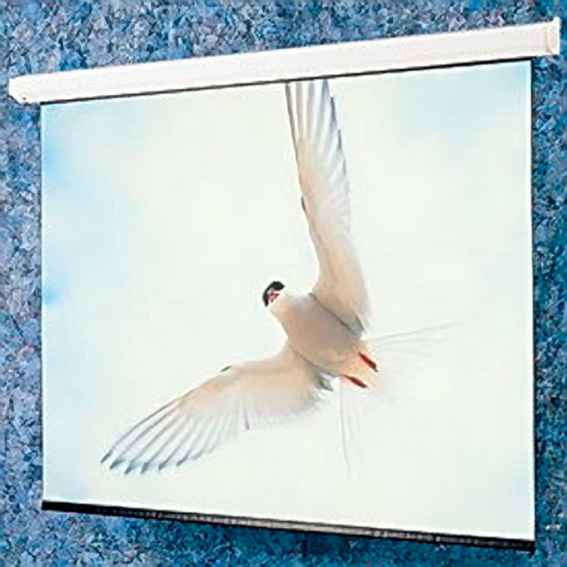 draper-targa-116341-electric-projection-screen-210