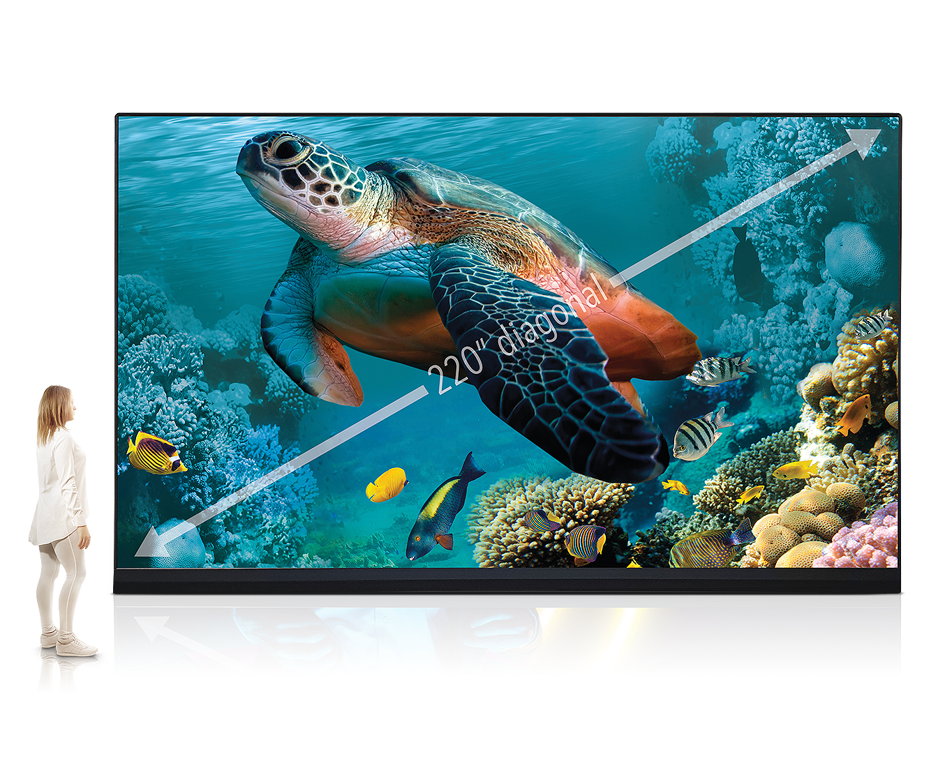NEC LED-FE012i3-220 220” 1.26MM FE Series 3 UHD Indoor DvLED