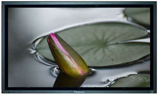 panasonic-th-50ph10uka-professional-plasma-panasonic-th-50ph10uka-professional-plasma-1