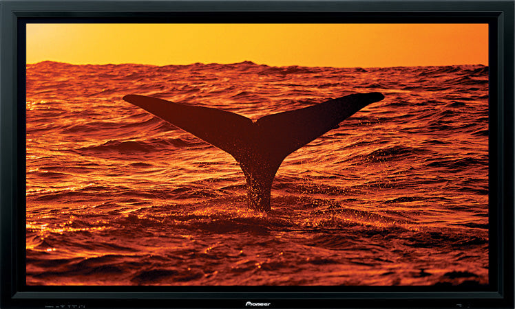 pioneer-pdp-607cmx-60-professional-plasma