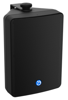 Atlas Sound 6.5 2-Way All Weather Speaker with 32-Watt 70V 100V Transformer in Black SM63T-B