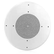 Atlas Sound Economical Steel Baffle 8 inch 51-8