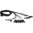 Blackmagic Design BDLKULS Cable 6 feet CABLE-BDLKULS