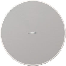 Bose 829380-0210 Professional DesignMax DM8C-Subwoofer (White)