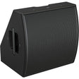 Bose 843161-0110 Professional AMM112 Multipurpose 12 2-Way Passive Loudspeaker (Black)