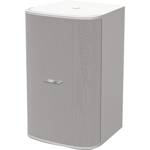 Bose Professional DesignMax DM10P-SUB 10 300W Pendant Subwoofer (White)