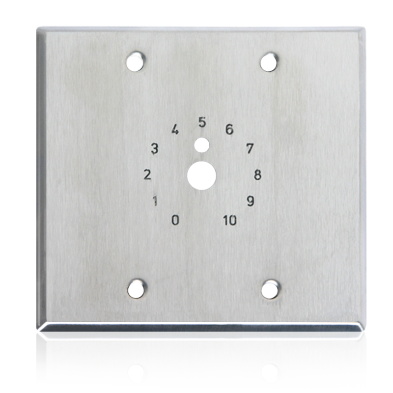 Double Gang S S Plate; Dial Scale Stamped and Paint Filled