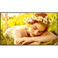 LG 65UL5Q-M 65" UHD 4K Commercial Monitor