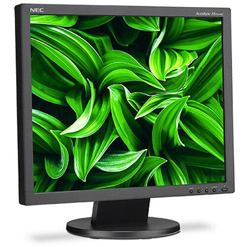 NEC AS194Mi-BK AccuSync 19