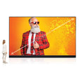 NEC LED-FE025I2-220IN 220 dvLED FHD Video Wall Bundle with Site Survey