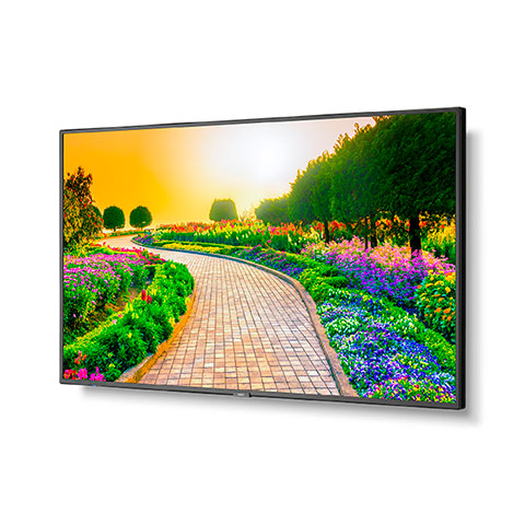 NEC M431 PC5 43 Ultra High Definition Professional Display with Built In Intel PC angle