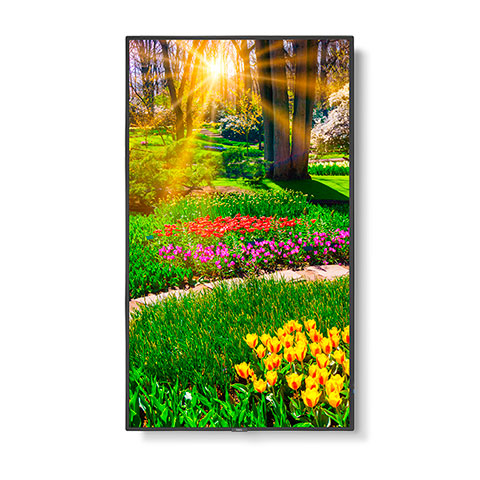 NEC M491 AVT3 49 UHD Professional Display with Integrated ATSC NTSC Tuner portrait