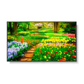 NEC M491 AVT3 49 UHD Professional Display with Integrated ATSC NTSC Tuner