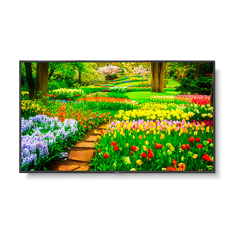 NEC M491 AVT3 49 UHD Professional Display with Integrated ATSC NTSC Tuner