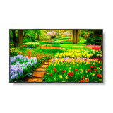 NEC M491 AVT3 49 UHD Professional Display with Integrated ATSC NTSC Tuner