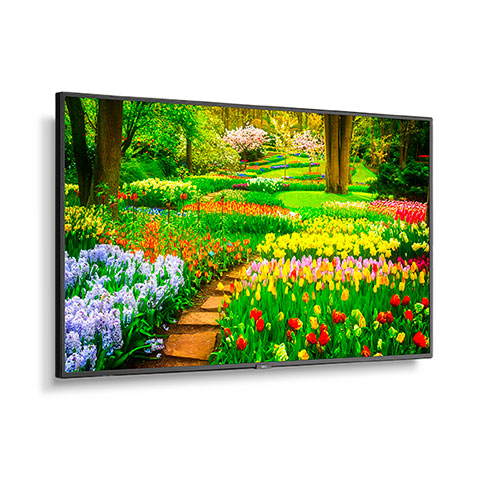 NEC M491 MPI4E 49 Ultra High Definition Professional Display with integrated SoC MediaPlayer with CMS platform angle