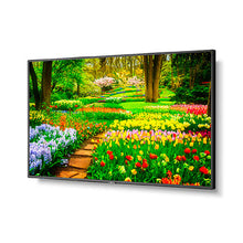 NEC M491PC5 49 Ultra High Definition Professional Display with Built In Intel PC angle