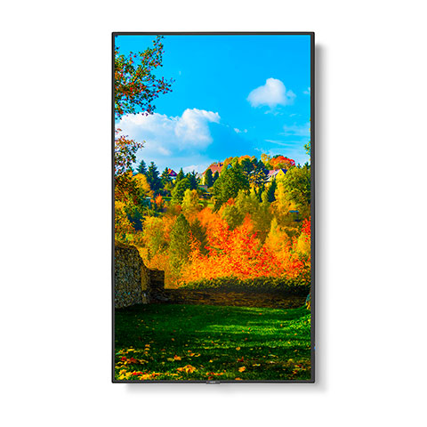 NEC M551 MPI4E 55 Ultra High Definition Professional Display with integrated SoC MediaPlayer with CMS platform portrait