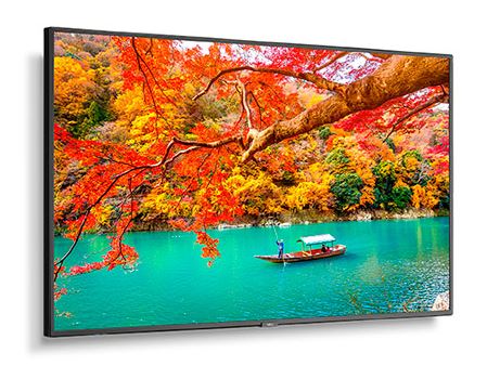 NEC MA431 43in Wide Color Gamut UHD Professional Display