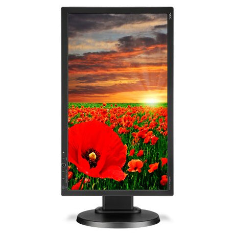 NEC MultiSync E201W-BK 20 Widescreen LCD Display