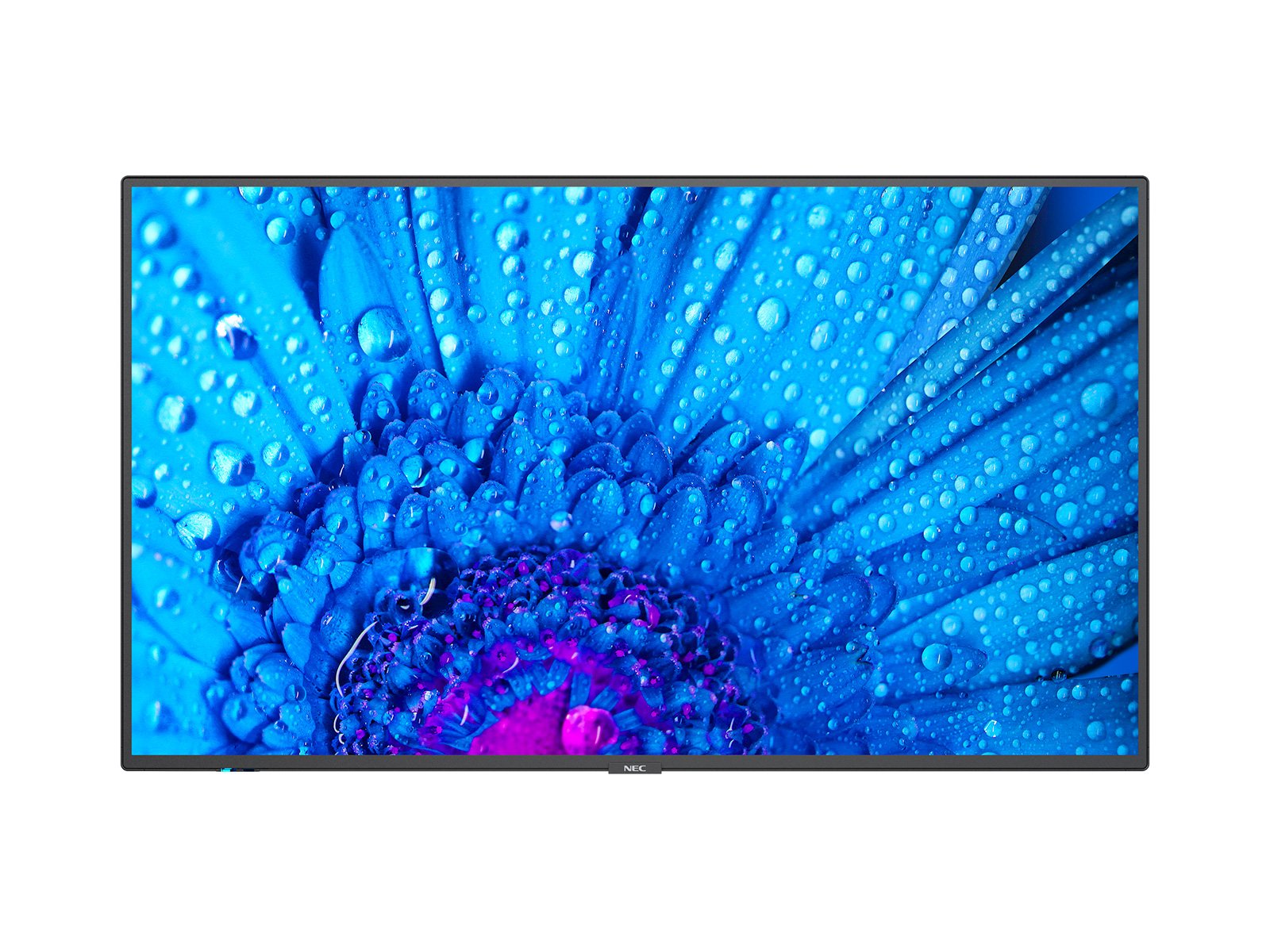NEC M751 LED 75