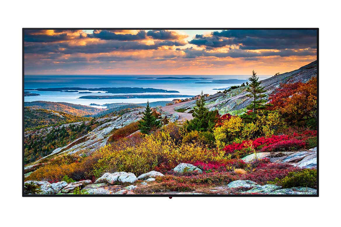 Panasonic TH-55CQE1W Series 55" Class 4K UHD IPS LED Professional Display