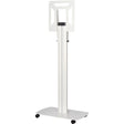 Peerless-AV SR542-KAPP Flat Panel Cart for SMART Kapp 42 inch White Board