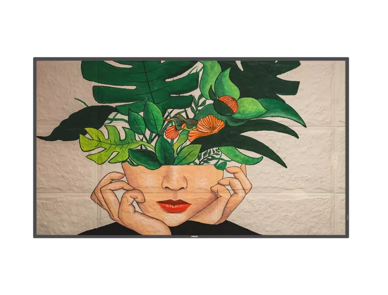 Philips 55BDL4550D 00 55 4K UHD LED Display