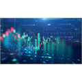 Philips 65BDL6005X/00 65" UHD 4K Video Wall Monitor