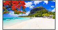 Panasonic TH-50SQ2HW Series 50" UHD 4K Commercial Monitor