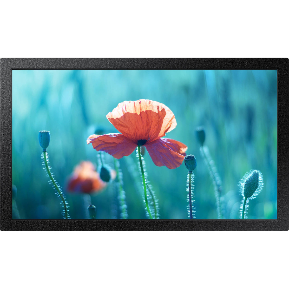 Samsung QB13R-M 13 Full HD Commercial Monitor front