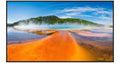 Sharp PN-E559  55" Ultra High Definition Commercial Display