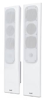 SMART Board® interactive displays SBA-100 audio system